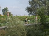 IFF 2014 - 091.jpg